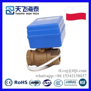 Tianfei صمام كروي كهربائي عالي التقنية CWX-20P (1)_1