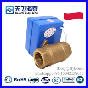 Tianfei صمام كروي كهربائي عالي التقنية CWX-20P (4)