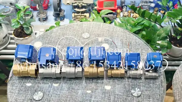 Tianfei صمام كروي كهربائي عالي التقنية CWX-20P (5)