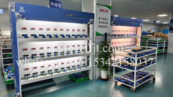 Tianfei صمام كروي كهربائي عالي التقنية CWX-20P (6)