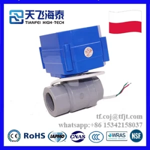 天飞高新电动阀CWX-60P (1)