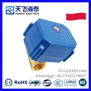 天飞高新电动阀CWX-60P (3)