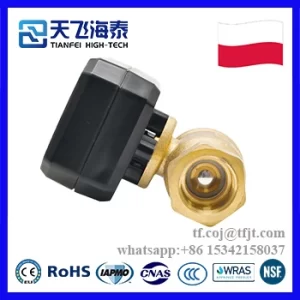 天飛ハイテク CWX-20P 電動ボールバルブ (2)