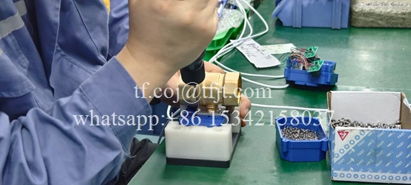 Tianfei High-tech zawór wody elektryczny (7)