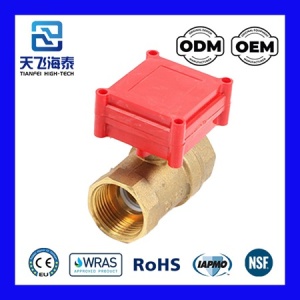 CWX-20P 電動ボールバルブ-0722 (2)