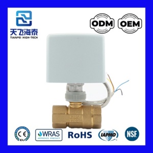 セントラルヒーティング電動バルブ CWX-50P 0722 (4)