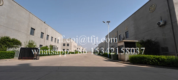 Tianfei Valvola a sfera motorizzata ad alta tecnologia 12v CWX-15N (7)