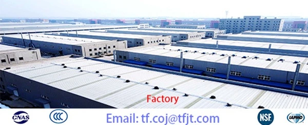 Valvola motorizzata Tianfei cwx-60p ad alta tecnologia (5)