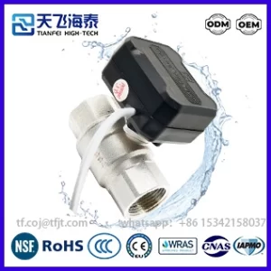 Tianfei Prezzo della valvola a sfera motorizzata ad alta tecnologia CWX-20P (3)