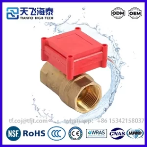 Tianfei Prezzo della valvola a sfera motorizzata ad alta tecnologia CWX-20P (6)