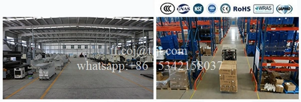 Tianfei High-tech stainless motorized ball valve CWX-60P (5)