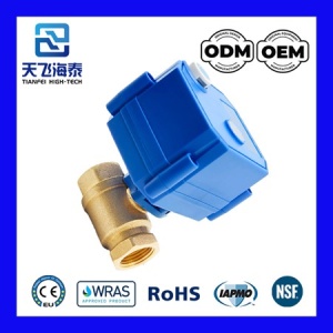 电动暖气阀CWX-25S-0722 (6)