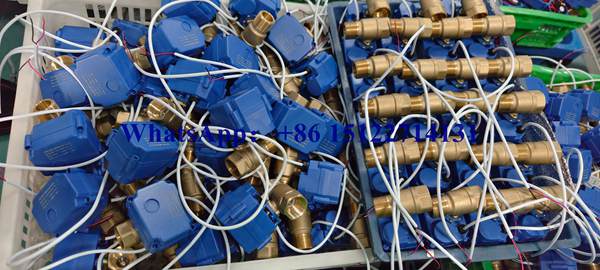 Motorventil CWX-60P (2)