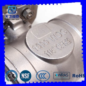 valvola deviatrice motorizzata CTB (3)