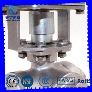 valvola deviatrice motorizzata CTB (4)