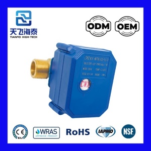 válvula eléctrica CWX-60P-0722 (1)