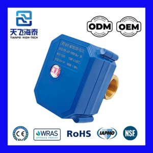 válvula eléctrica CWX-60P-0722 (2)