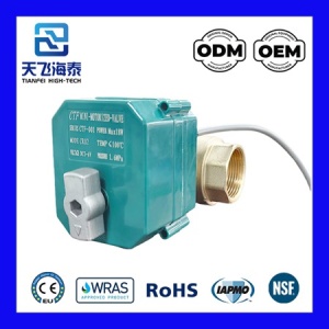 電動ボールバルブ 230v CTF001-0722 (1)