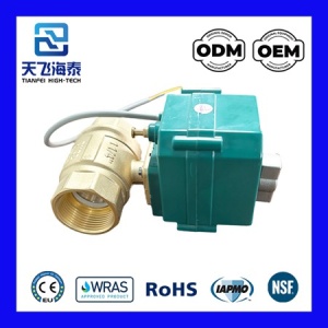 電動ボールバルブ 230v CTF001-0722 (2)