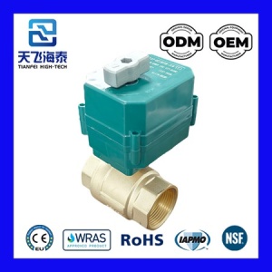 電動ボールバルブ 230v CTF001-0722 (9)