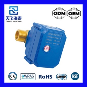 CWX-60P elektrisches Wasserventil-0722 (5)