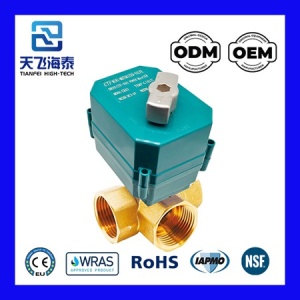 阀门 3 机动道路 CTF001 (1)