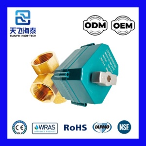 阀门 3 机动道路 CTF001 (2)