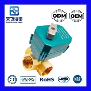 阀门 3 机动道路 CTF001 (3)