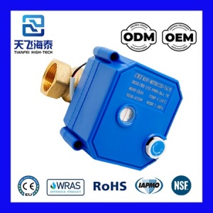 CWX-25S电动球阀 (1)