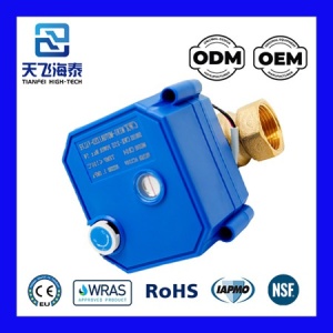 CWX-25S电动球阀 (2)