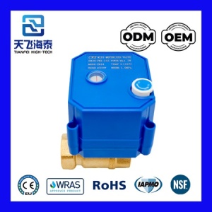 صمام كروي بمحرك CWX-25S (3)