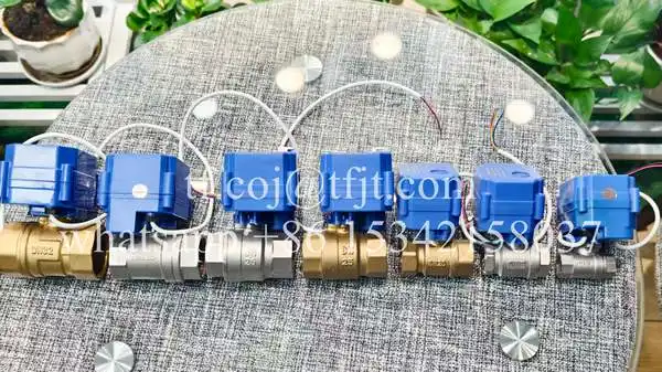 Tianfeiハイテク 1 2 電動ボールバルブ CWX-60P (6)