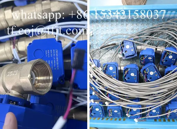 Tianfei Valvola a sfera motorizzata 110v ad alta tecnologia CWX-15N (2)