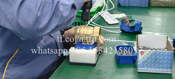 Tianfei Robinet à tournant sphérique motorisé de haute technologie 110 V CWX-15Q (3)