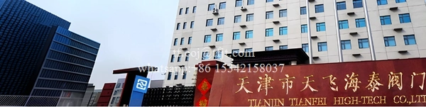 天飞高科 3 电动阀 (7)