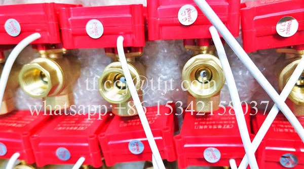 Tianfei ハイテク CWX-20P 水用電動バルブ (2)