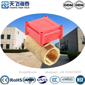 Tianfei ハイテク CWX-20P 水用電動バルブ (6)