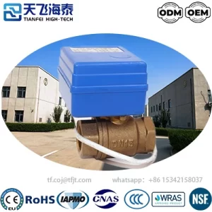 Tianfei ハイテク CWX-20P 水用電動バルブ (8)