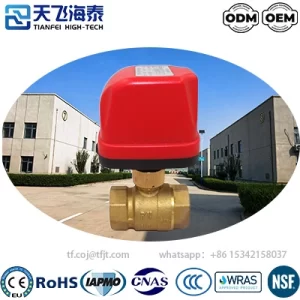 天飞高科CWX-50P电动阀门 (3)