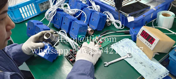 Tianfei ハイテク CWX-60P 電気バルブ (1)