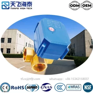 Tianfei ハイテク CWX-60P 電気バルブ (5)