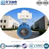 Vannes motorisées de série de qualité industrielle de haute technologie Tianfei (2)