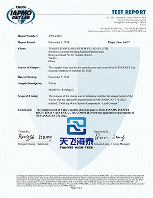 Vanne de commande motorisée de haute technologie Tianfei (1)