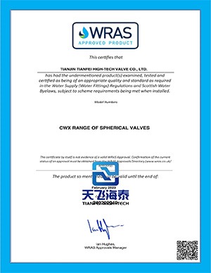 Vanne de commande motorisée de haute technologie Tianfei (7)