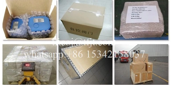 Tianfei de alta tecnología 12 válvula de bola eléctrica de voltios CWX-50P (7)