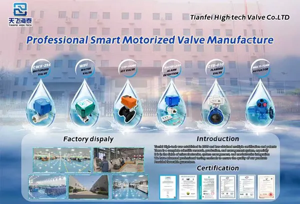 Valvola a sfera ad alta tecnologia 24vdc Tianfei CWX-25S (5)