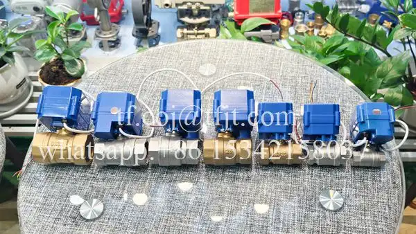 Valvola a sfera ad alta tecnologia 24vdc Tianfei CWX-25S (6)