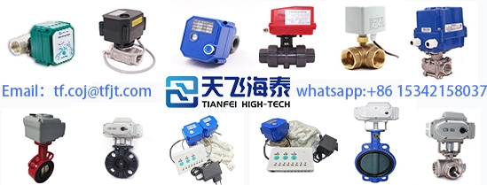 Tianfei High-Tech-Mini-Motorventil (1)