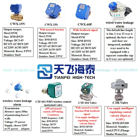 Tianfei High-Tech-Mini-Motorventil (2)