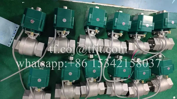 Tianfei High-tech motorized ball valve factory-20251204 (3)